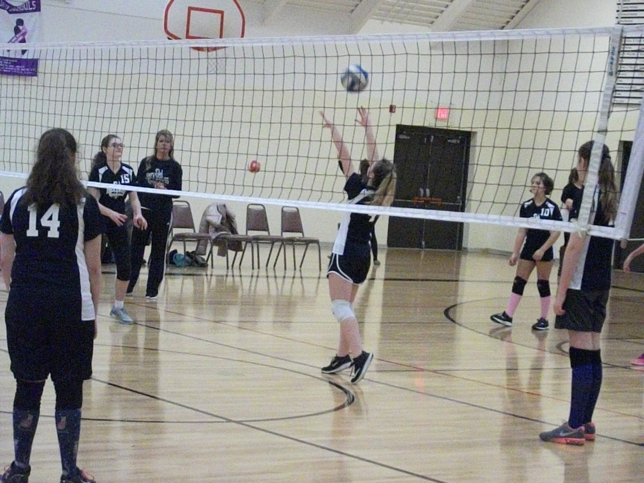 Volleyball Holy Cross Catholic School