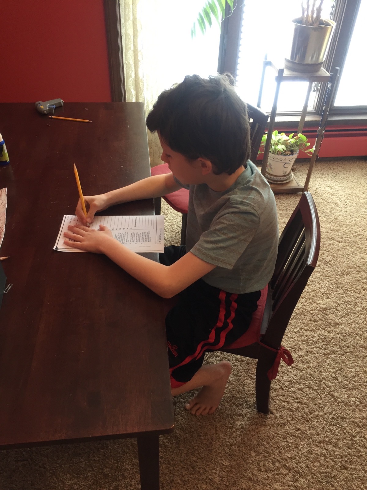 Holy Cross Catholic School - Holy Cross Catholic School